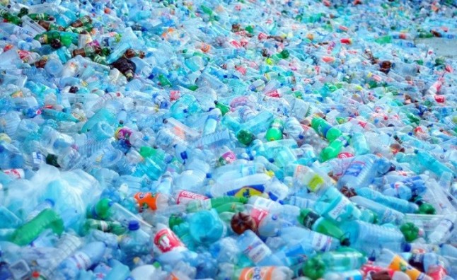 Ribera anuncia una estrategia ante la contaminación de plásticos en 2019 como parte de la "asignatura" de biodiversidad