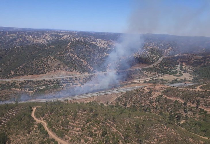 Se cumplen seis años del incendio de Quesada (Jaén) con 720 hectáreas restauradas de las cerca de 10.000 afectadas