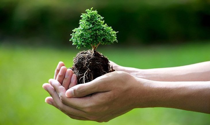 Catalunya al margen del ‘cansino mono-tema’