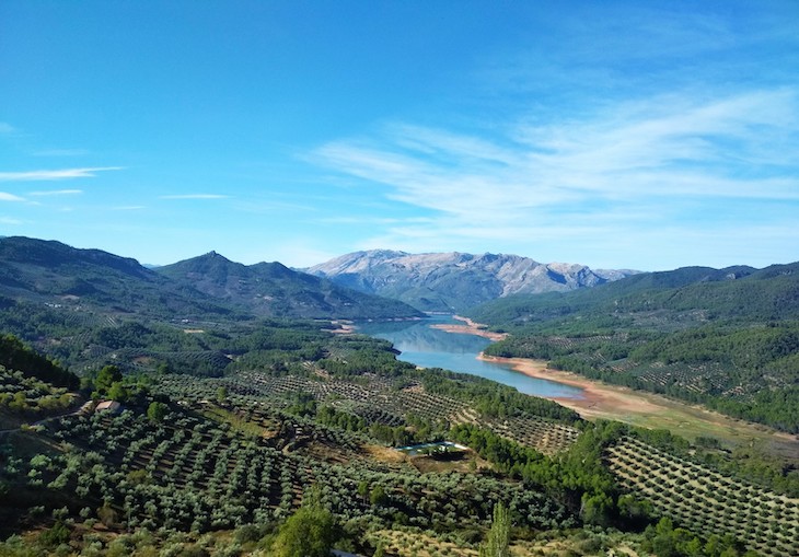 Hacia una ley de Protección