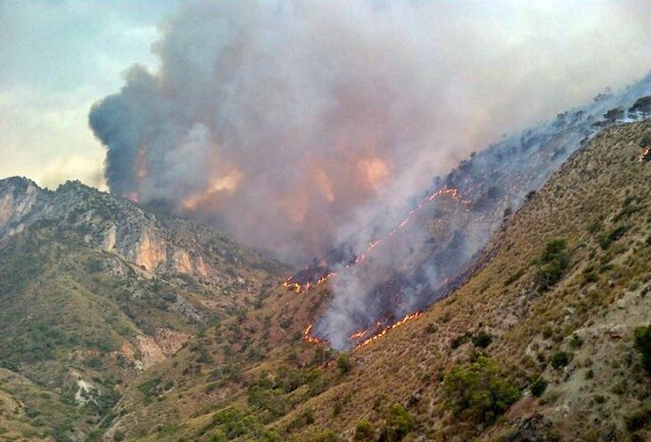 Restaurada el área del incendio de Quesada y Huesa
