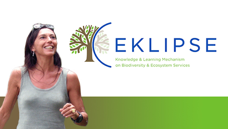 El CREAF participa en un informe europeo para restaurar la biodiversidad y los servicios ecosistémicos