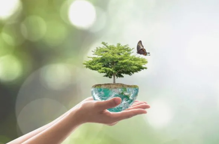 Gestión ‘innovadora’ para evitar la extinción de especies