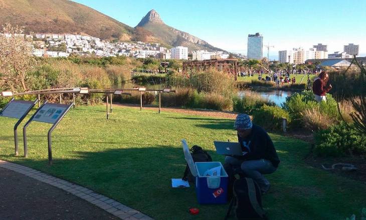 Tan pequeños y que labor tan importante realizan los microorganimos viven en los suelos de los parques urbanos