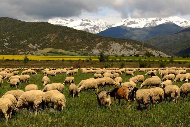 Recta final para las negociaciones de la PAC
