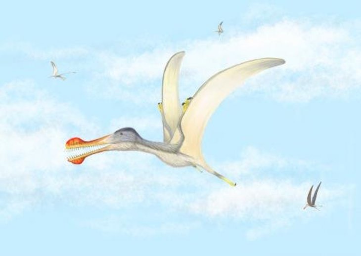 Reptiles voladores dominaron los cielos sobre el actual Sáhara