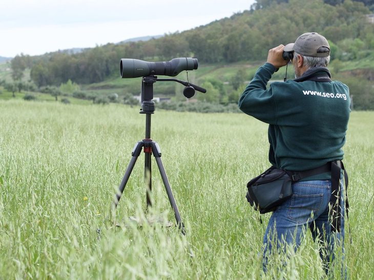 Tarragona. Premis Ones 2021 galardona a SEO/BirdLife