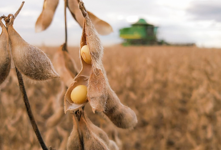 El biodiésel de soja puede reportar grandes efectos negativos