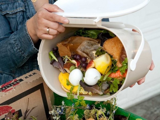 La Diputación de Álava pretende reducir a la mitad el desperdicio de productos alimentarios