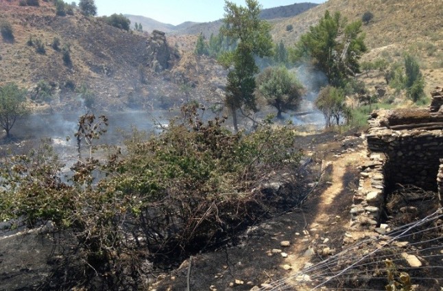 Cazado el presunto autor del incendio en un paraje de Baza (Granada)
