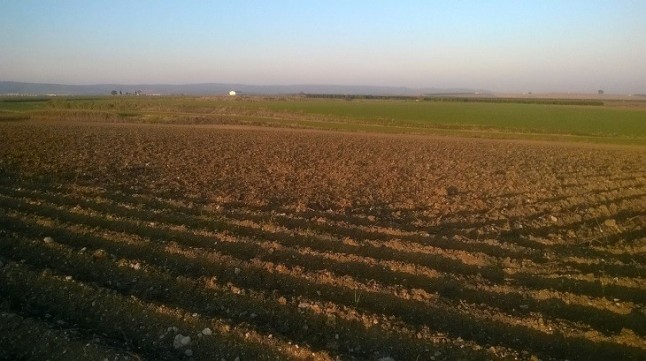 Impulsan varios proyectos de investigación para la adaptación del sector agrario al cambio climático en Andalucía