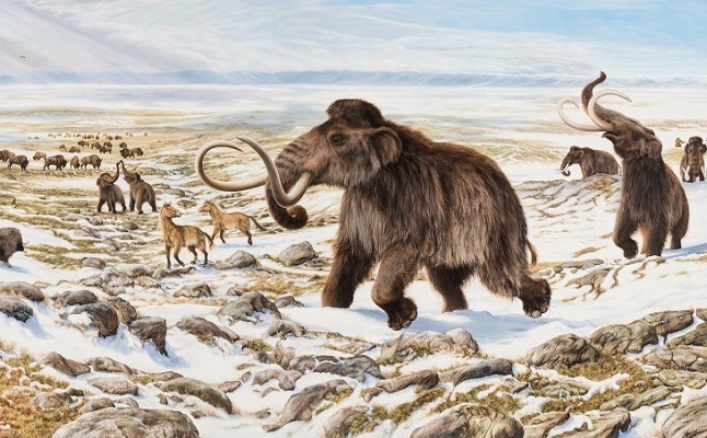 La megafauna africana la liquido el clima