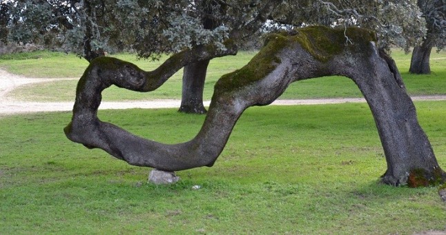 WWF lanza un concurso mediterráneo de relatos breves sobre naturaleza