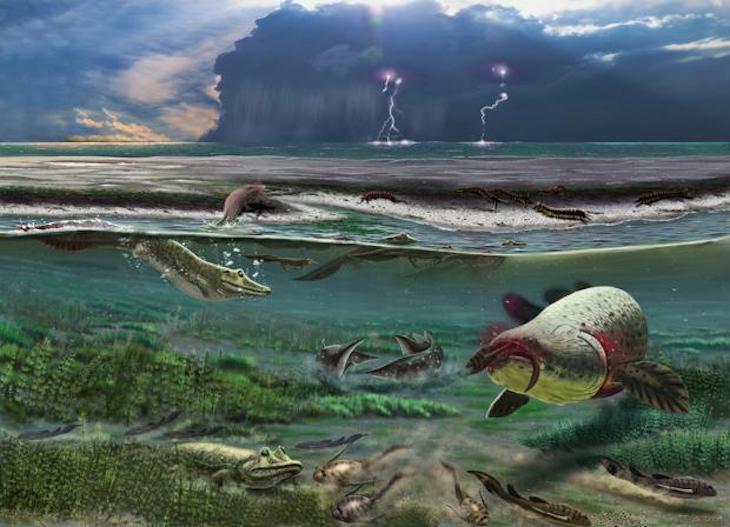 Grandes mareas pudieron favorecer la evolución a la tierra firme