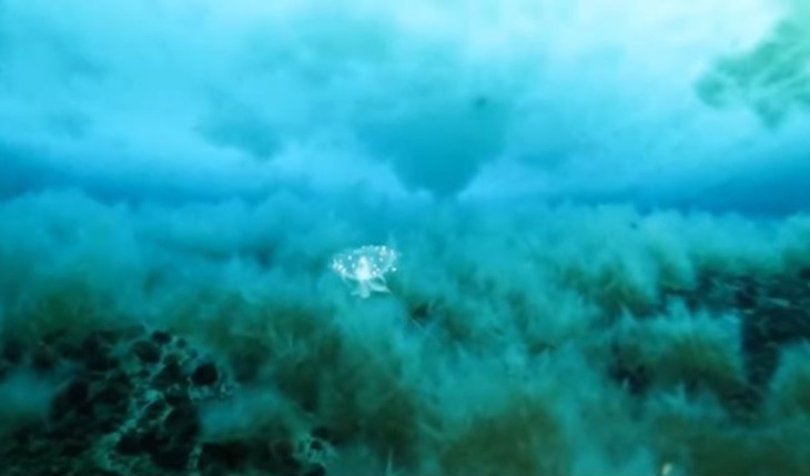 Primera fuga masiva de metano del fondo marino en el hemisferio sur