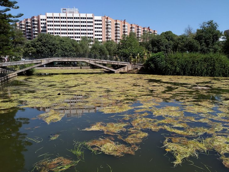 Controlando la invasión de flora acuática en el estanque del parque Los Príncipes de Sevilla
