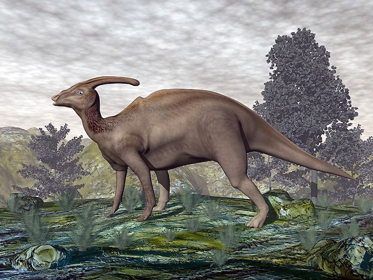 Parasaurolophus muestra su auténtico aspecto gracias a un nuevo fósil
