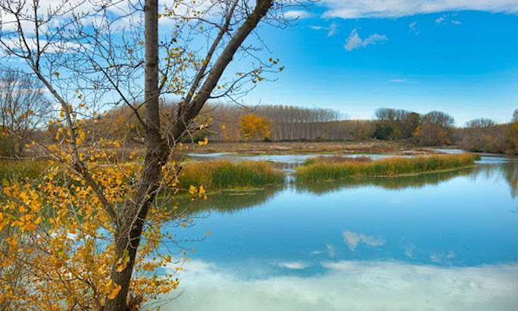 Renovados los planes de gestión de las ‘Zonas Especiales de Conservación de Navarra’