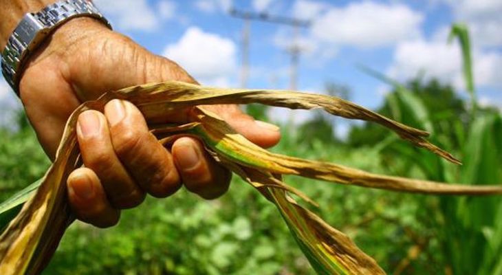 México organiza seminario internacional de agroecosistemas
