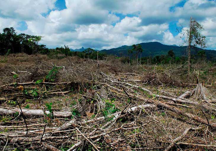 México impulsa acciones para disminuir la deforestación y fortalecer el desarrollo sustentable del campo