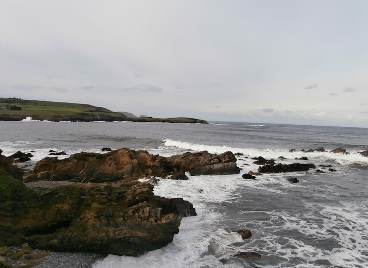 Asturias. El oricio precisa algo más que vedas