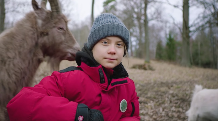 Greta Thunberg ‘arremete’ contra la ganadería industrial