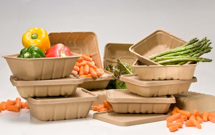 Innovador envoltorio antibacteriano biodegradable que protege los alimentos