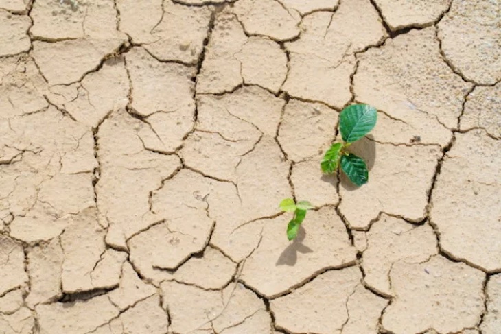 La falta de viento por el cambio climático puede retrasar la caída de las hojas en latitudes altas