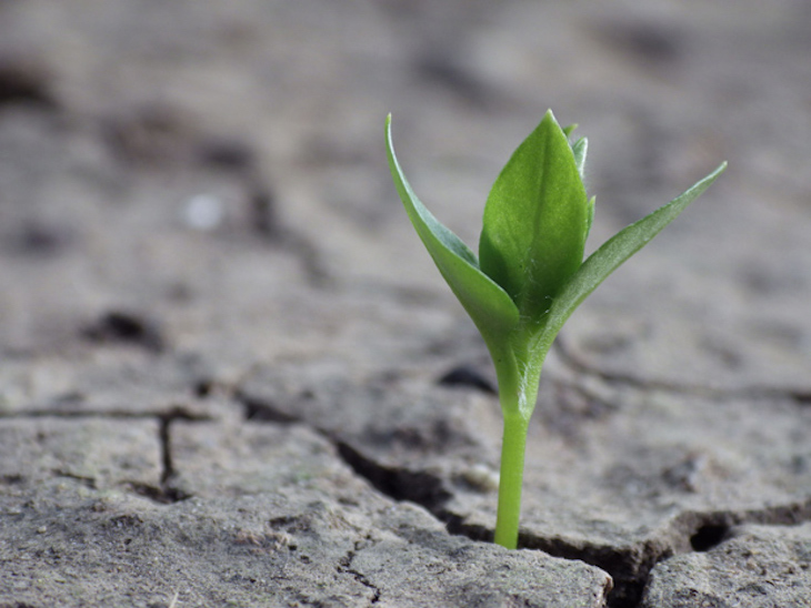 Plan Nacional de Adaptación al Cambio Climático ‘a la vista’