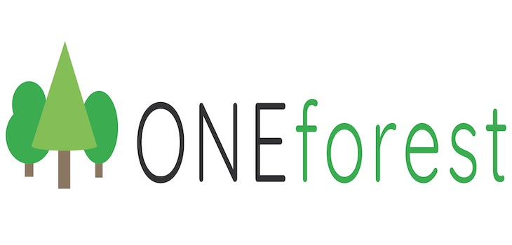 ONEforest H2020 el gran proyecto europeo para una gestión forestal común