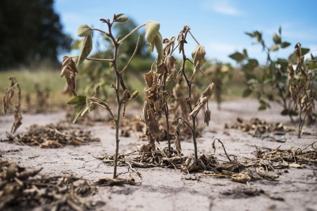 Científicos ven huellas del calentamiento en sequías que se remontan a 1900
