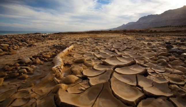 Simposio sobre los retos ambientales