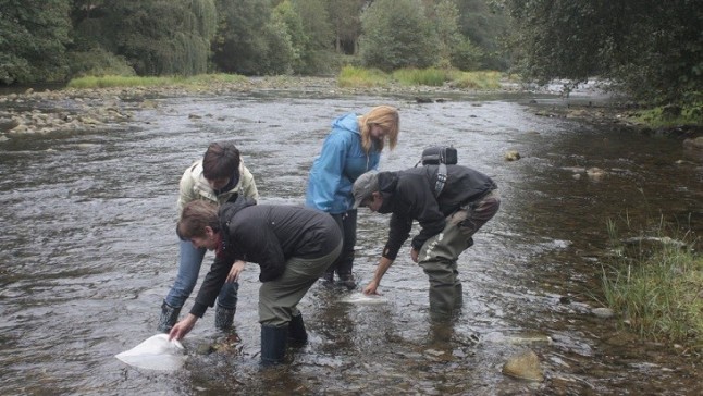 Los ríos cántabros suspenden estrepitosamente