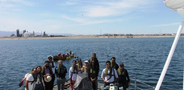 Instalan boya oceanográfica en bahía de Mejillones