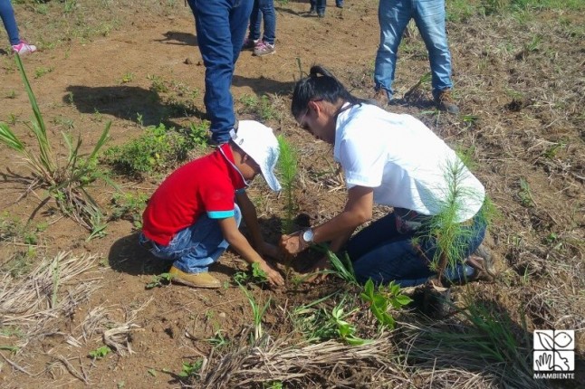 MiAMBIENTE conforma mesa de restauración de cuencas en Panamá y trabaja en plan de capacitación para productores y extensionistas