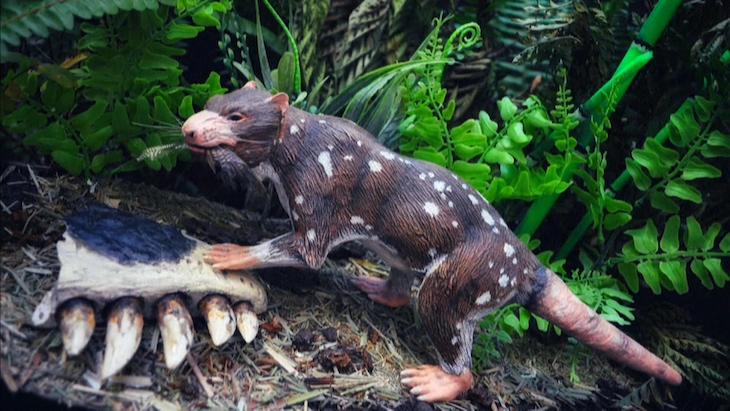 Fósiles de una bestia de cinco dientes descubiertos en la Patagonia