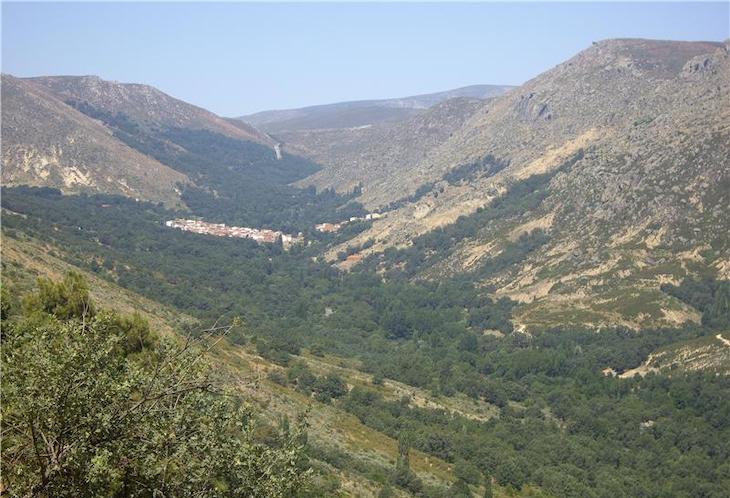 Navarra arranca actuaciones en materia forestal y conservación de la biodiversidad