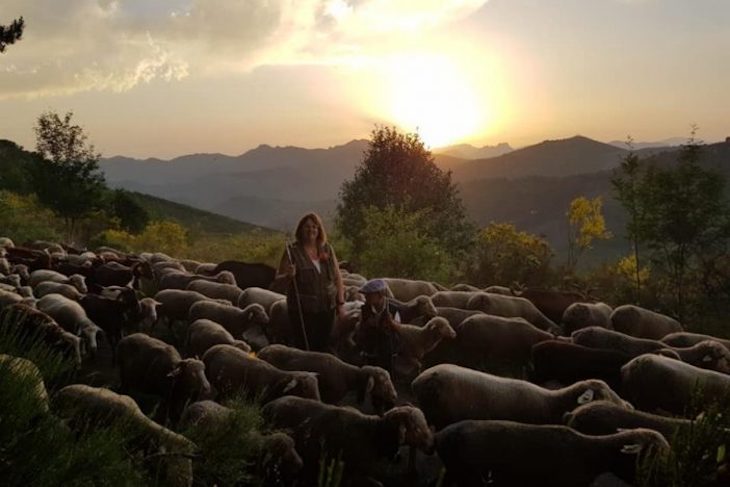 Está la Política Agraria Común (PAC) minando el Pacto Verde Europeo