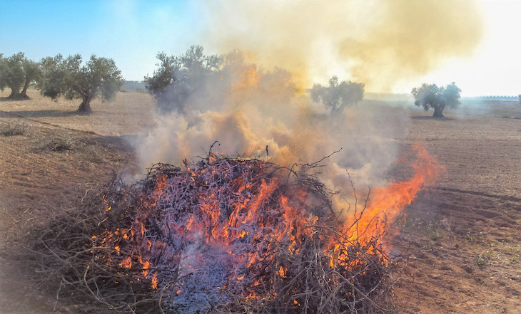 Medio Ambiente se ‘pone de perfil’ con las quemas agrícolas