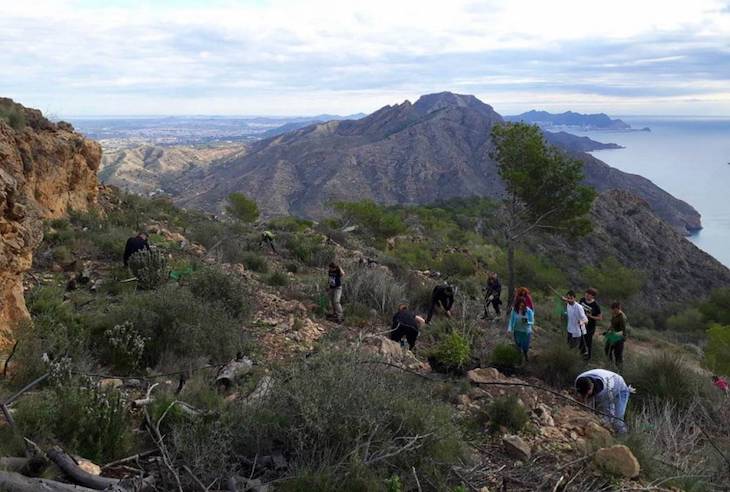 ARBA planta 3.000 árboles autóctonos en Cartagena