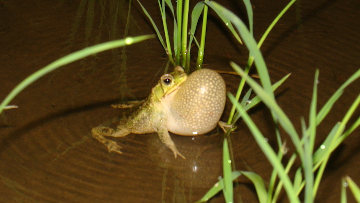 Estudio publicado en la revista water