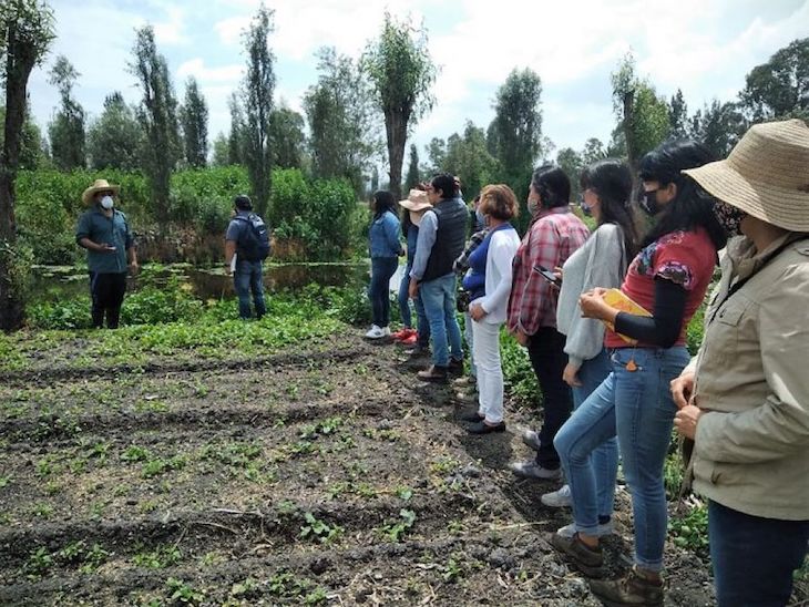 México impulsa la primera escuela agroecológica chinampera