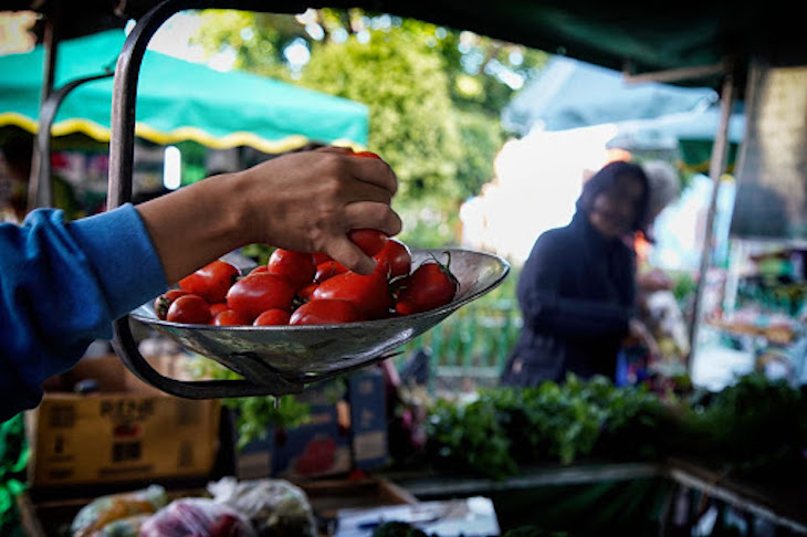 México trabaja para alcanzar la soberanía alimentaria mediante un sistema justo