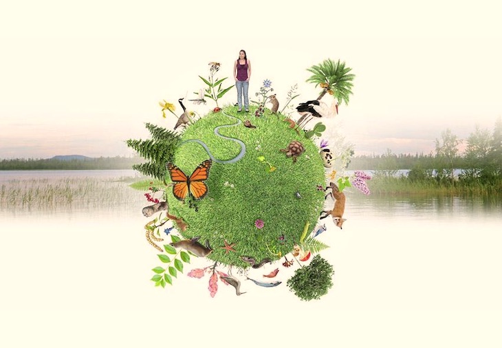 UP reivindica planes de renaturalización para recuperar la biodiversidad urbana