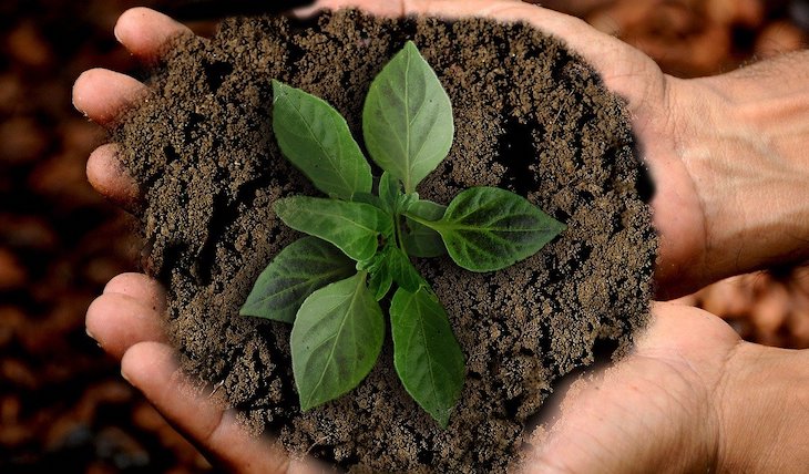 Acelerando la economía verde en el gran Mediterráneo
