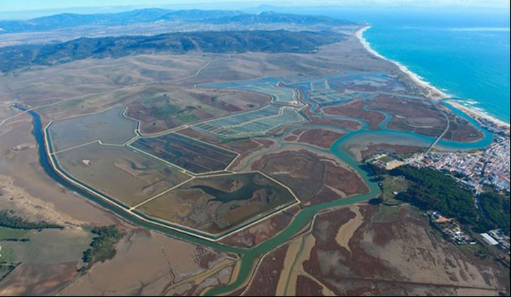 Importantes novedades en el nuevo EIA de la estación depuradora de Barbate-Zahara