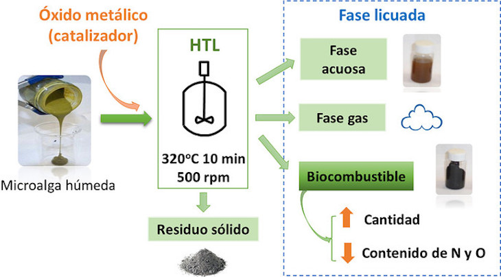 Convertir biomasa de microalgas en biocombustible