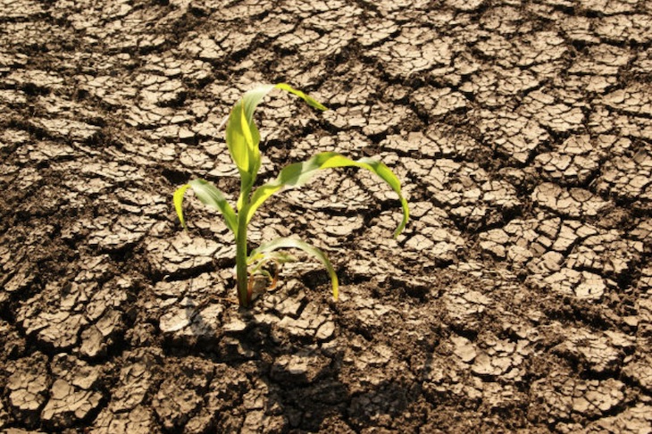 Usan la arqueología para comprender mejor el cambio climático