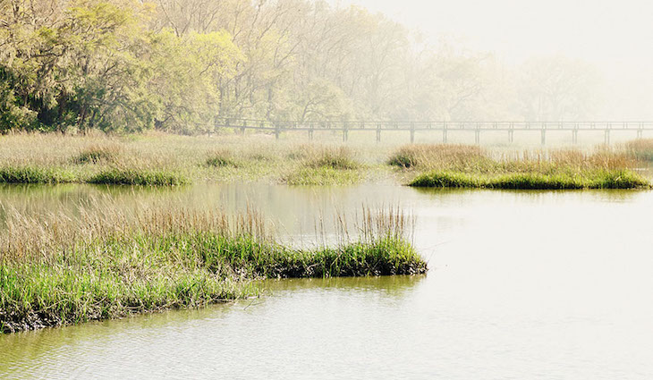 La Huerta y LAlbufera deberían ser ‘entornos resilientes’ frente a la crisis climática