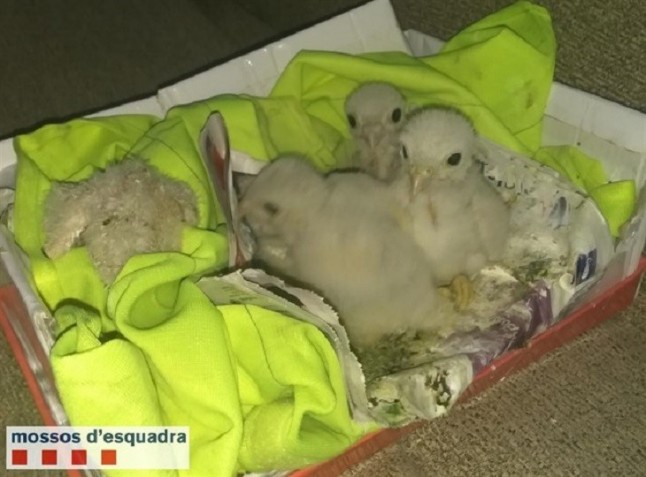 La realidad supera la ficción